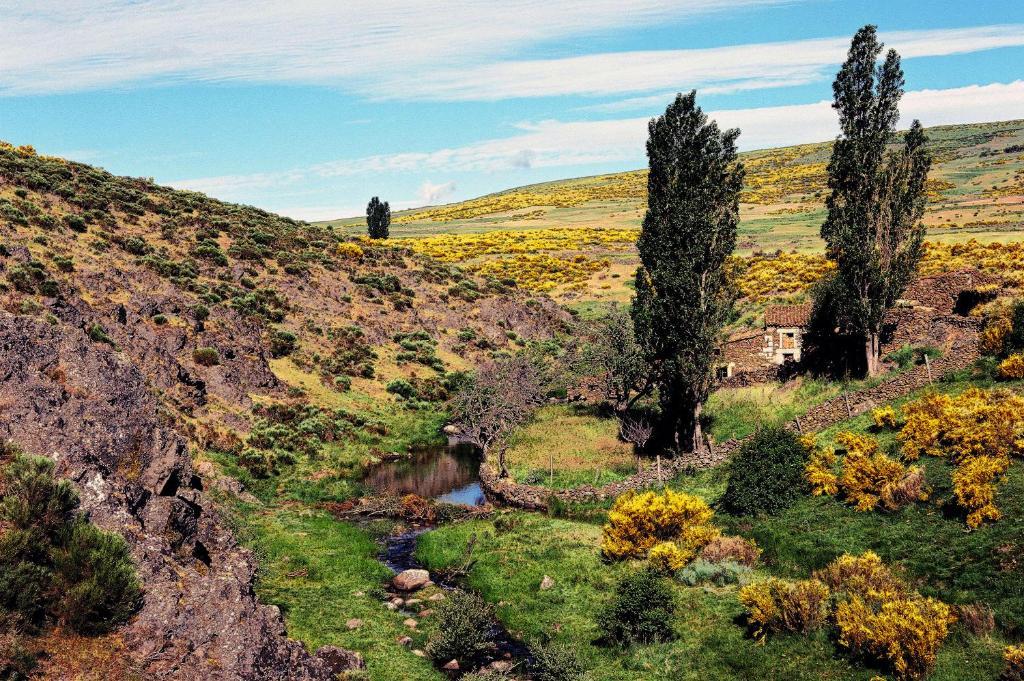 Hotel Rural La Dehesilla Барахас-де-Гредос Экстерьер фото